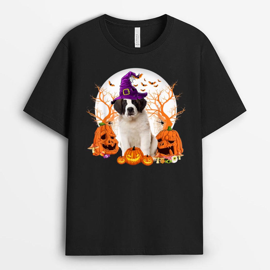 Dog Halloween Saint Bernard Dog Jack O Lantern Pumpkin T-Shirt