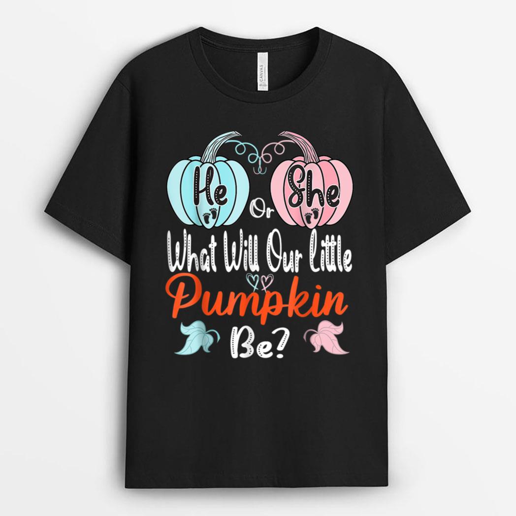 Fall Pumpkin Gender Reveal He Or She Baby Shower Mom Dad T-Shirt