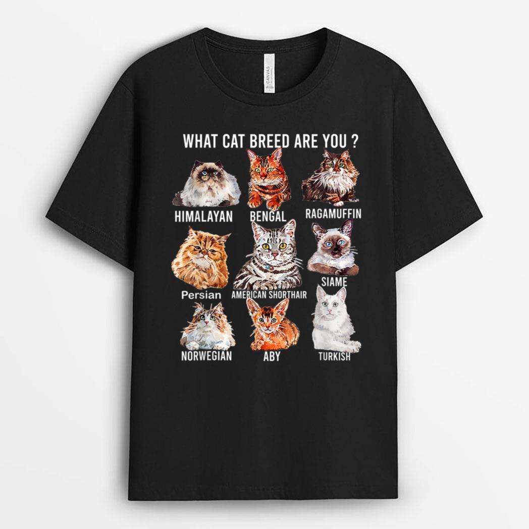 Funny Cat Lover Personality Est Cat Breed Cute Cats Breeds T-Shirt