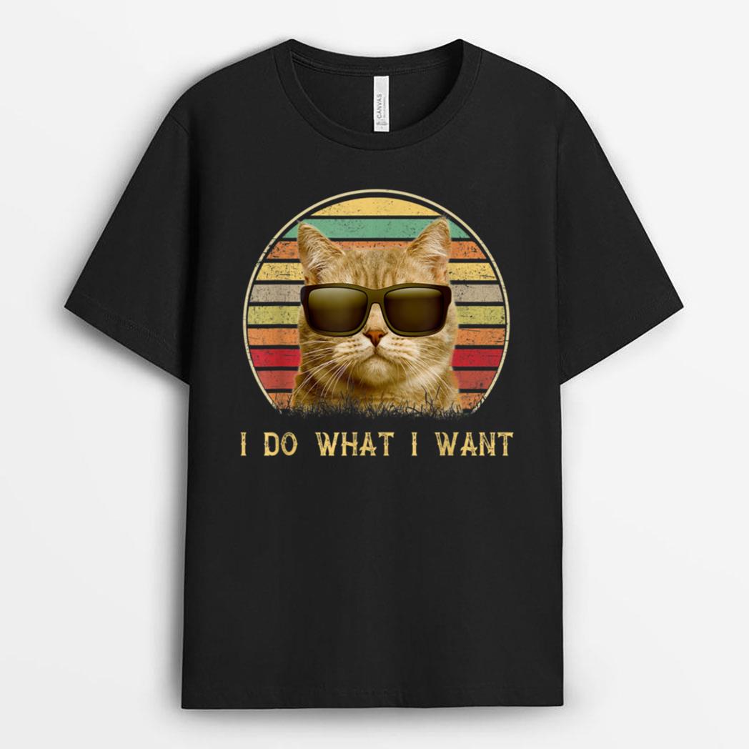 Funny Cat lovers gifts Vintage i do what i want cat T-Shirt