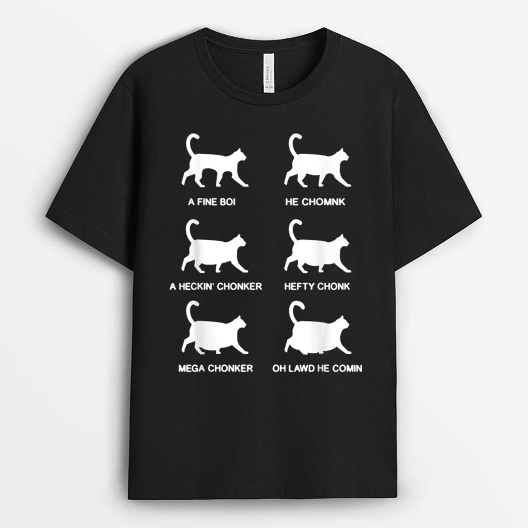 Funny Cat Meme Shirt Chonk Cat Evolution Chart For Cat Lover T-Shirt