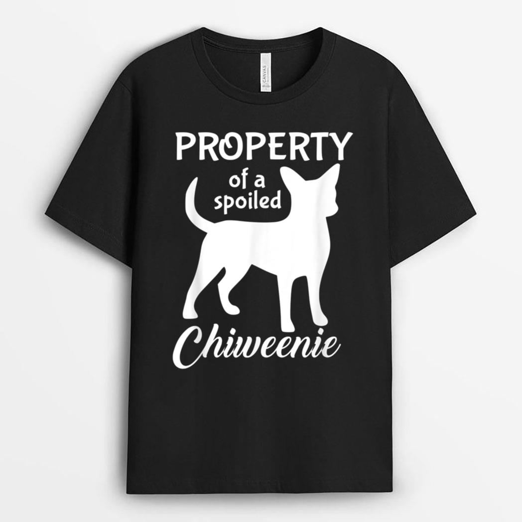 Funny Chiweenie Mom Dad Cute And Funny Property Dog Owner T-Shirt