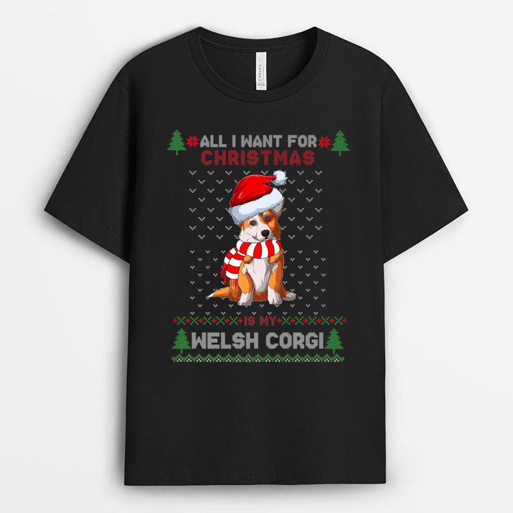 Funny Dog Cute Welsh Corgi Santa Hat Christmas T-Shirt