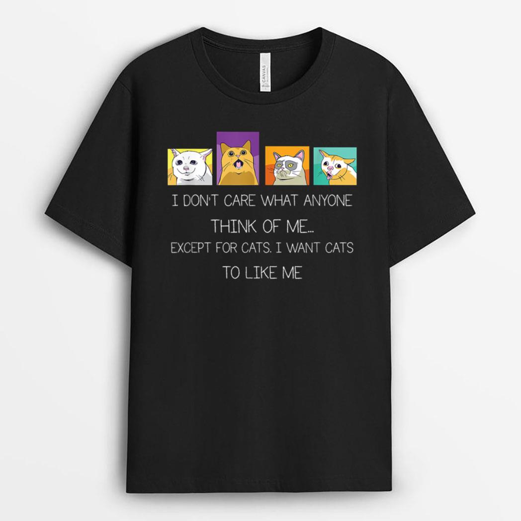 Funny I Don't Care What Anyone Think Of Me Except Black Cat T-Shirt