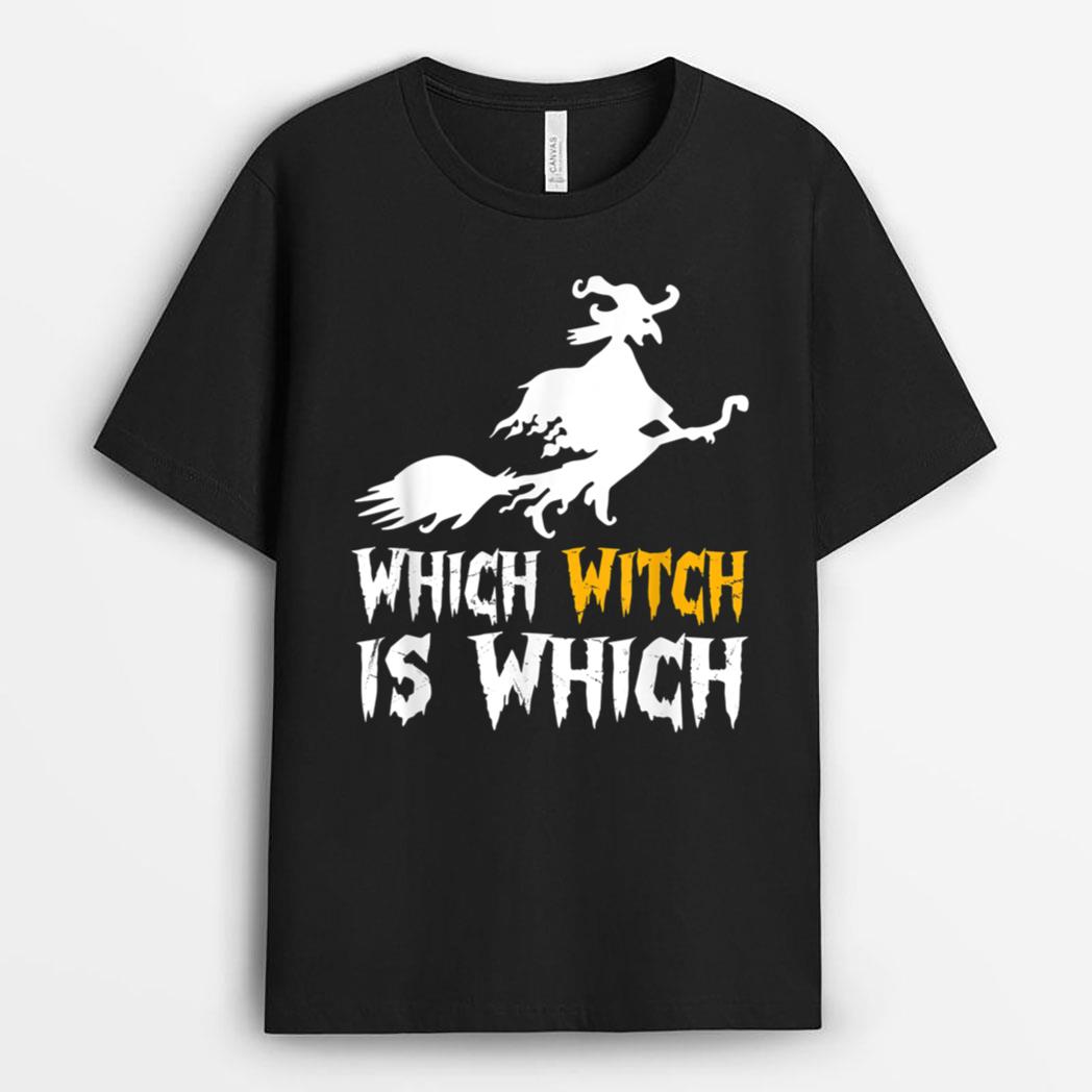 Funny Which Witch Is Which Halloween Grammar Teacher Costume T-Shirt