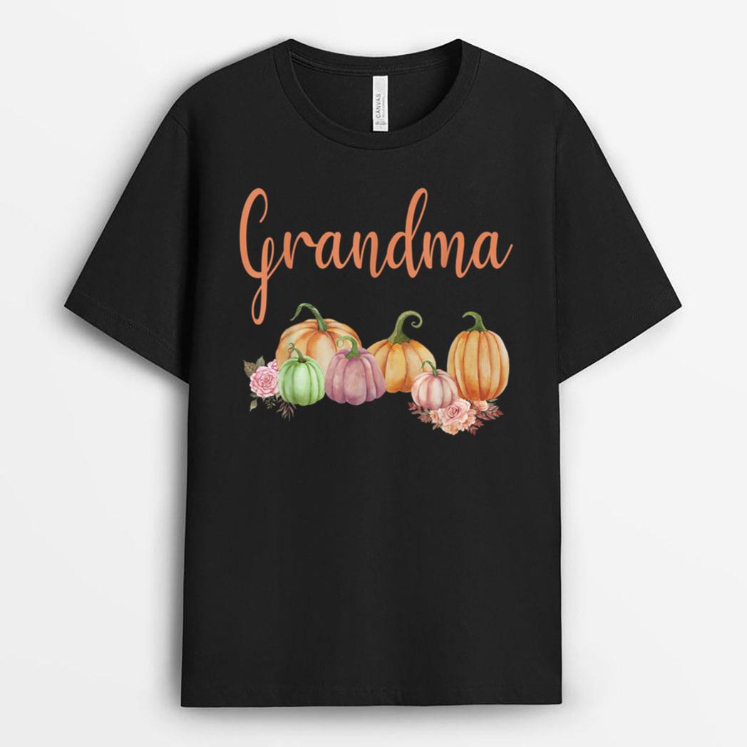 Grandma of Little Pumpkin First Birthday Autumn Pumpkin T-Shirt