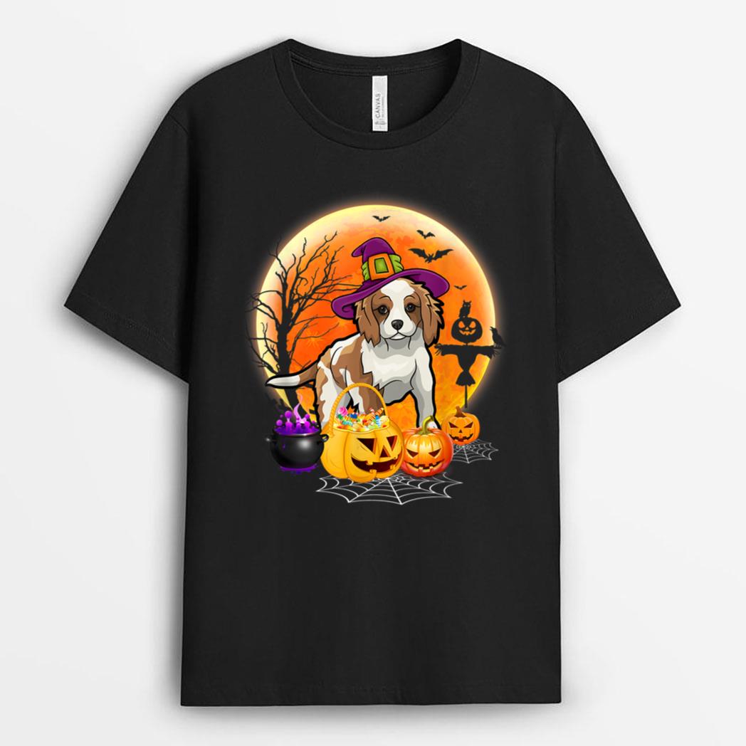 Halloween Brittany Dog Moon With Pumpkin Funny Gifts T-Shirt