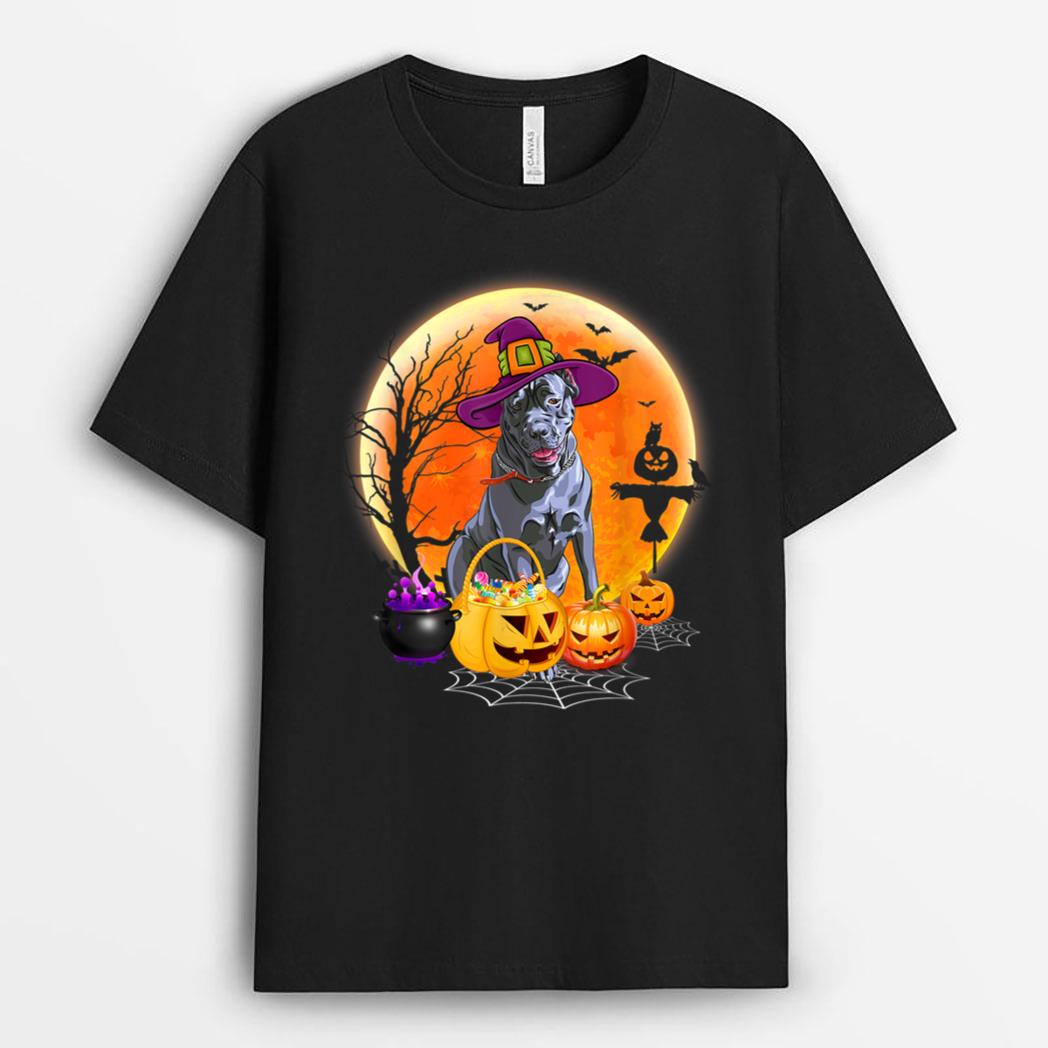 Halloween Cane Corso Dog Moon With Pumpkin Funny Gifts T-Shirt