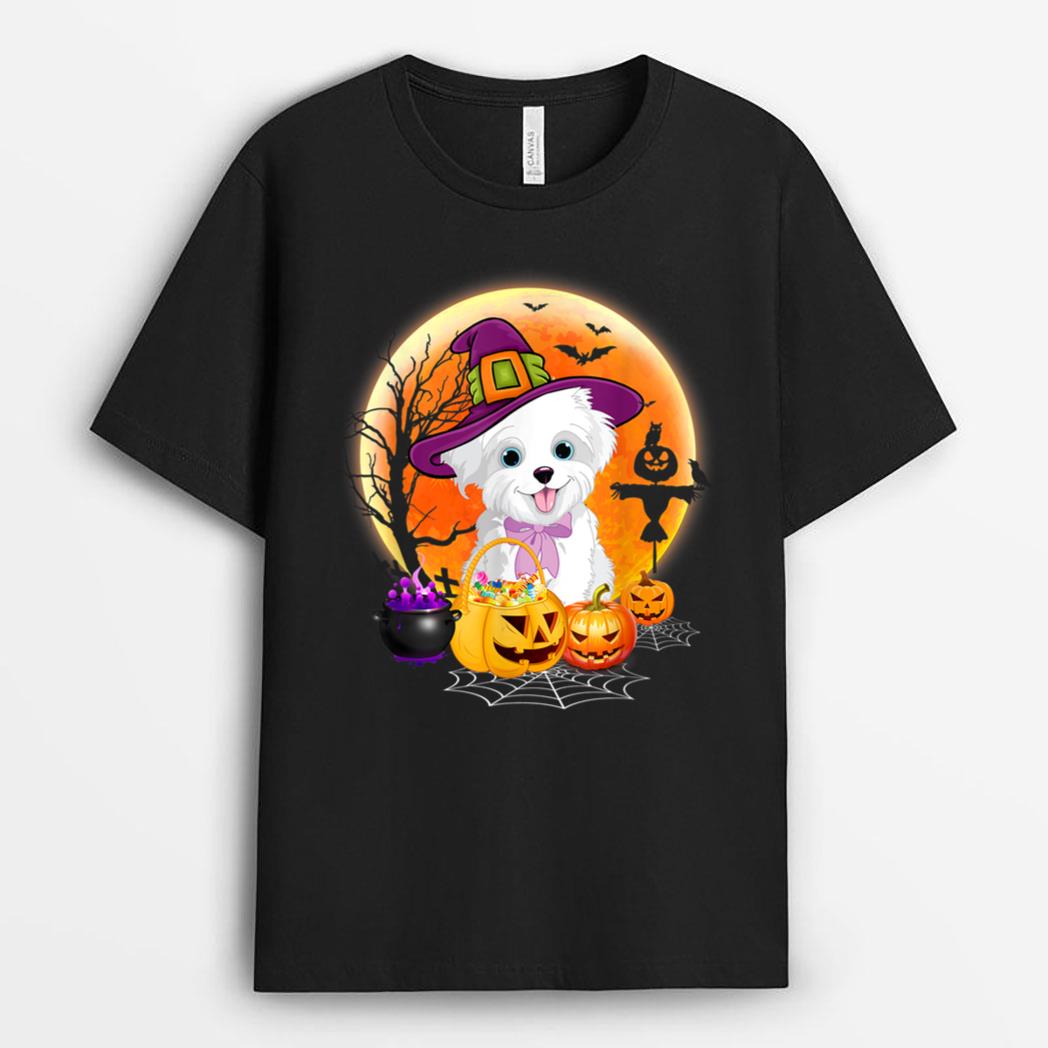 Halloween Havanese Dog Moon With Pumpkin Funny Gifts T-Shirt
