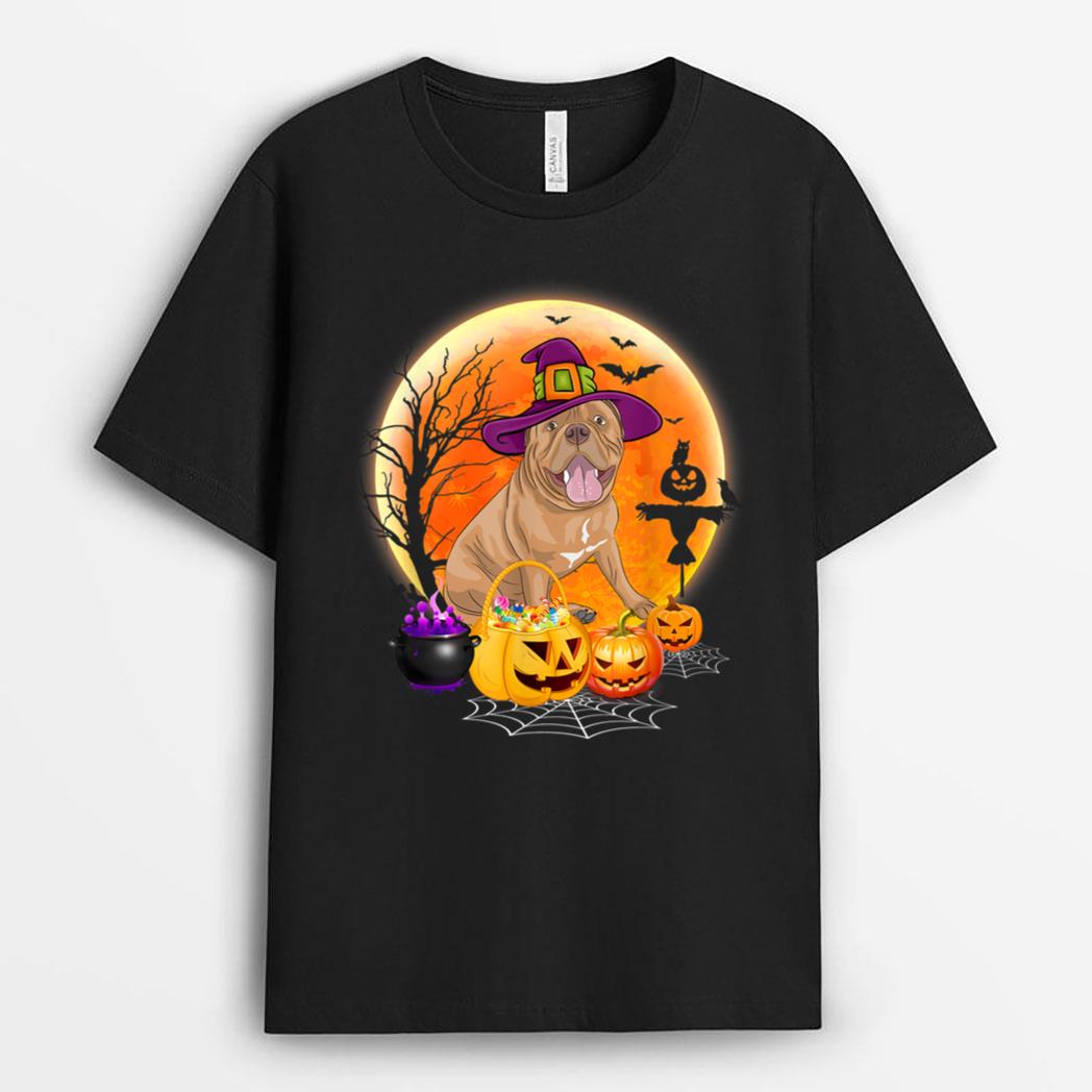 Halloween Mastiff Dog Moon With Pumpkin Funny Gifts T-Shirt