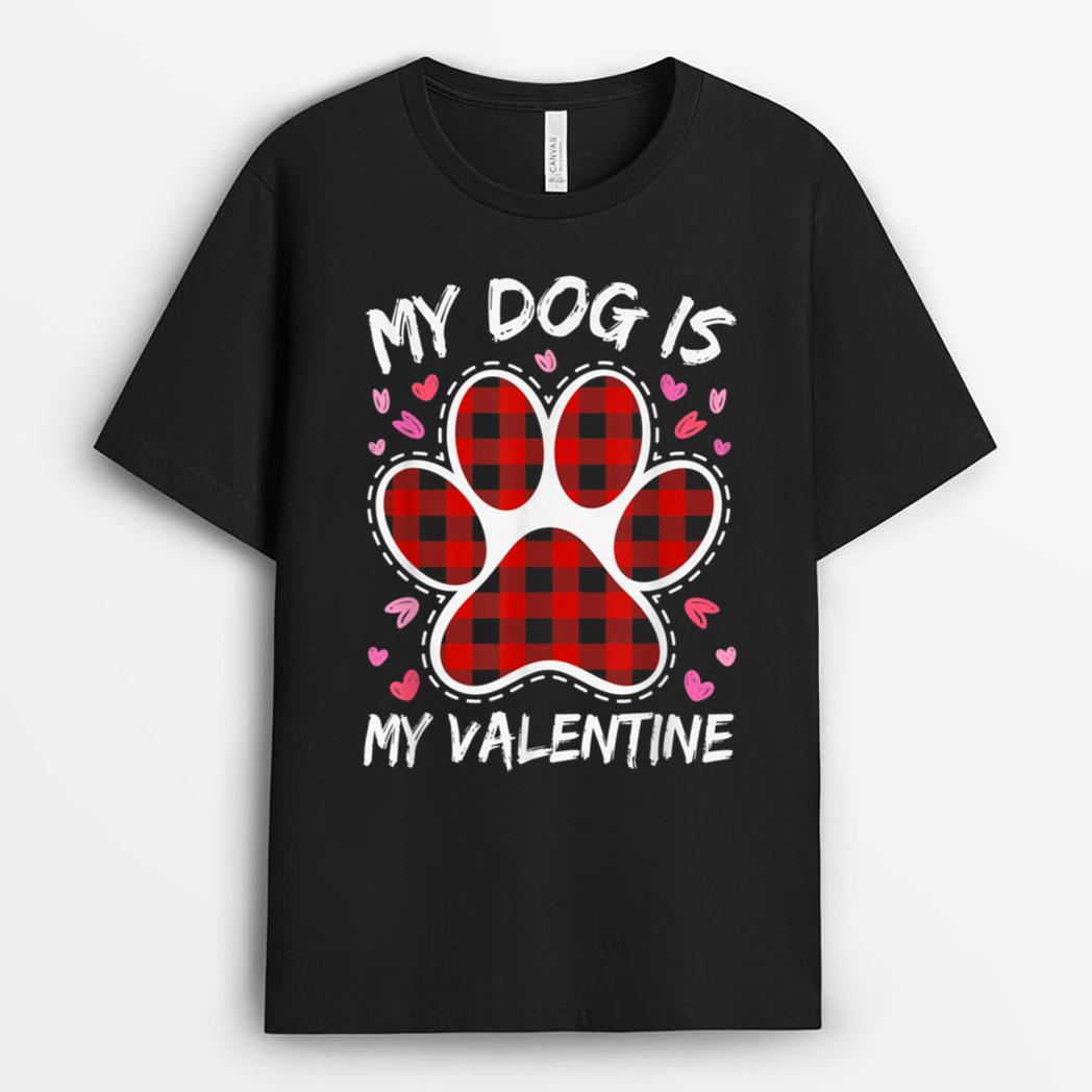Happy Valentine's Day Dog is my valentine T-Shirt