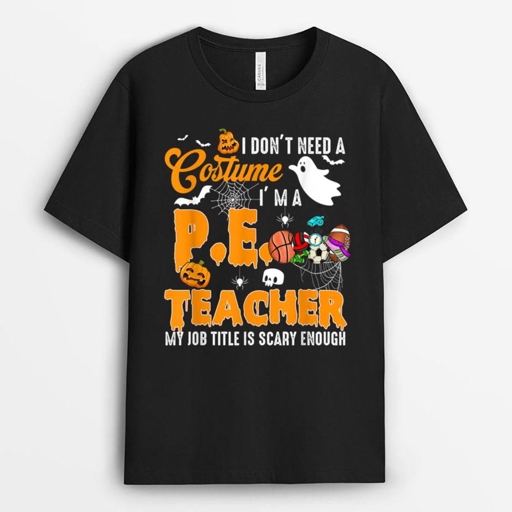 I don't need a Costume I'm A PE Teacher Halloween Costume T-Shirt