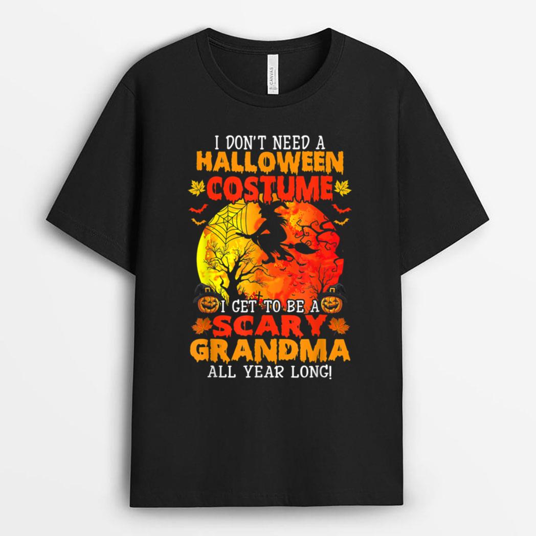 I Don't Need A Halloween Costume Get To Be A Scary Grandma T-Shirt