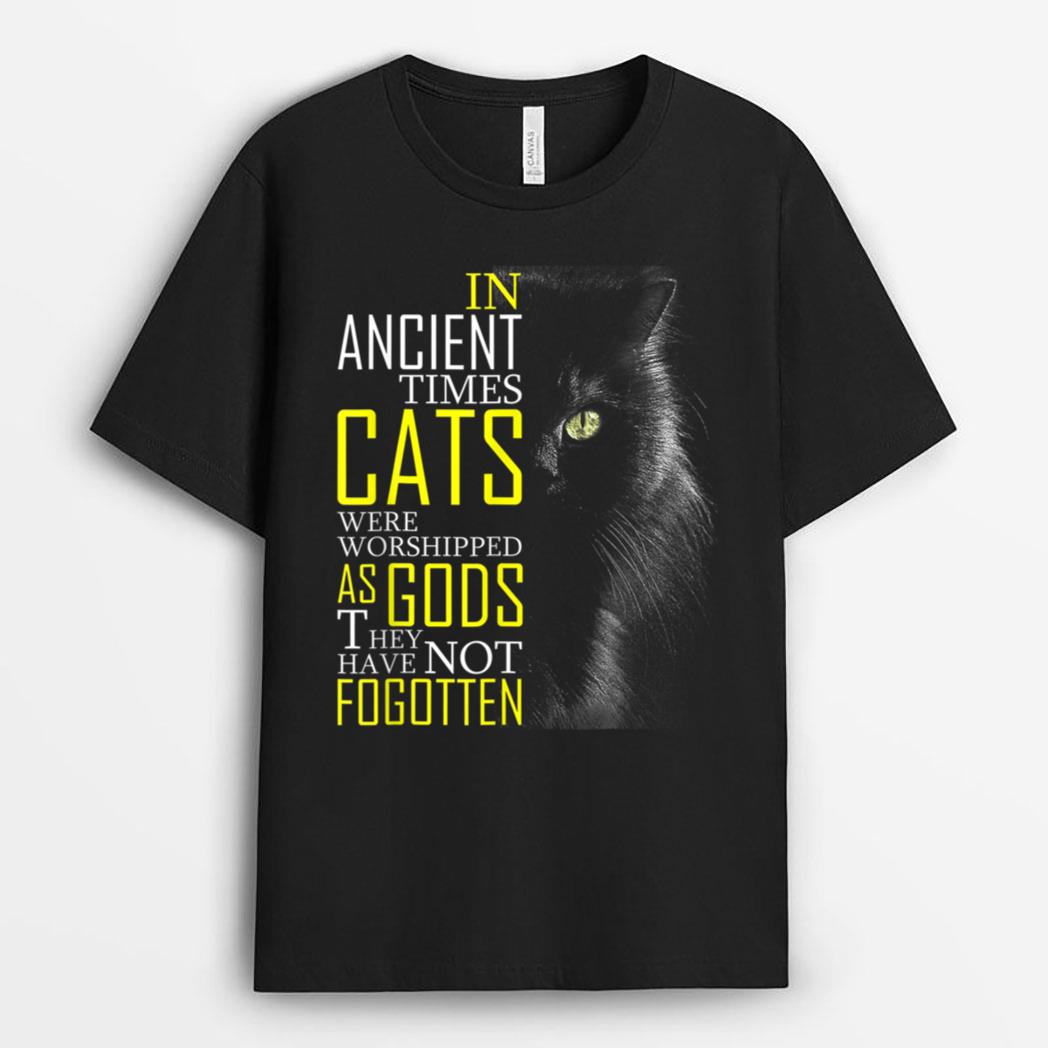In Ancient Imes Cats Were Worshipped As Gods Cat T-Shirt