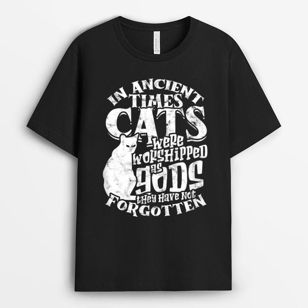 In ancient times Cats were worshipped as gods they have not T-Shirt