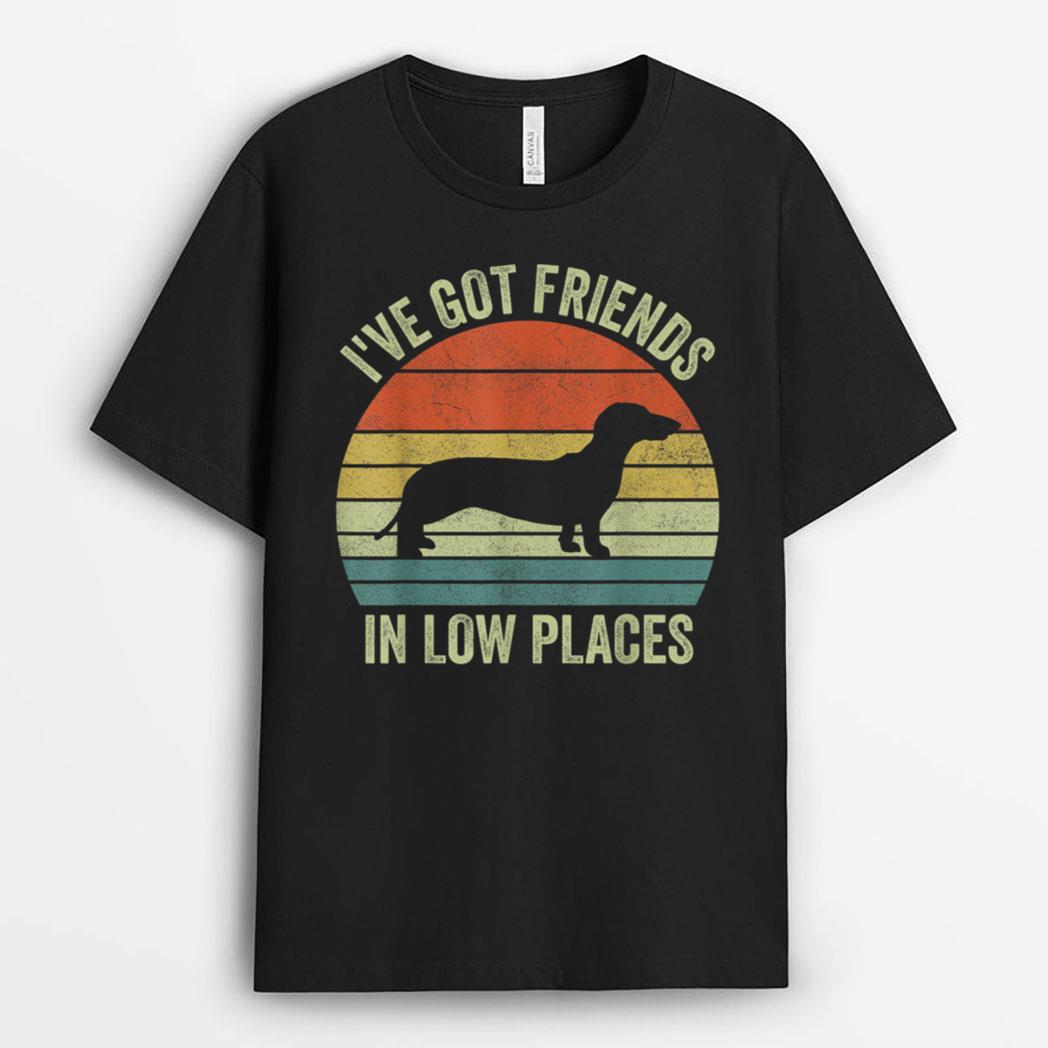 Iu2019ve Got Friends In Low Places s, Dachshund Lover T-Shirt
