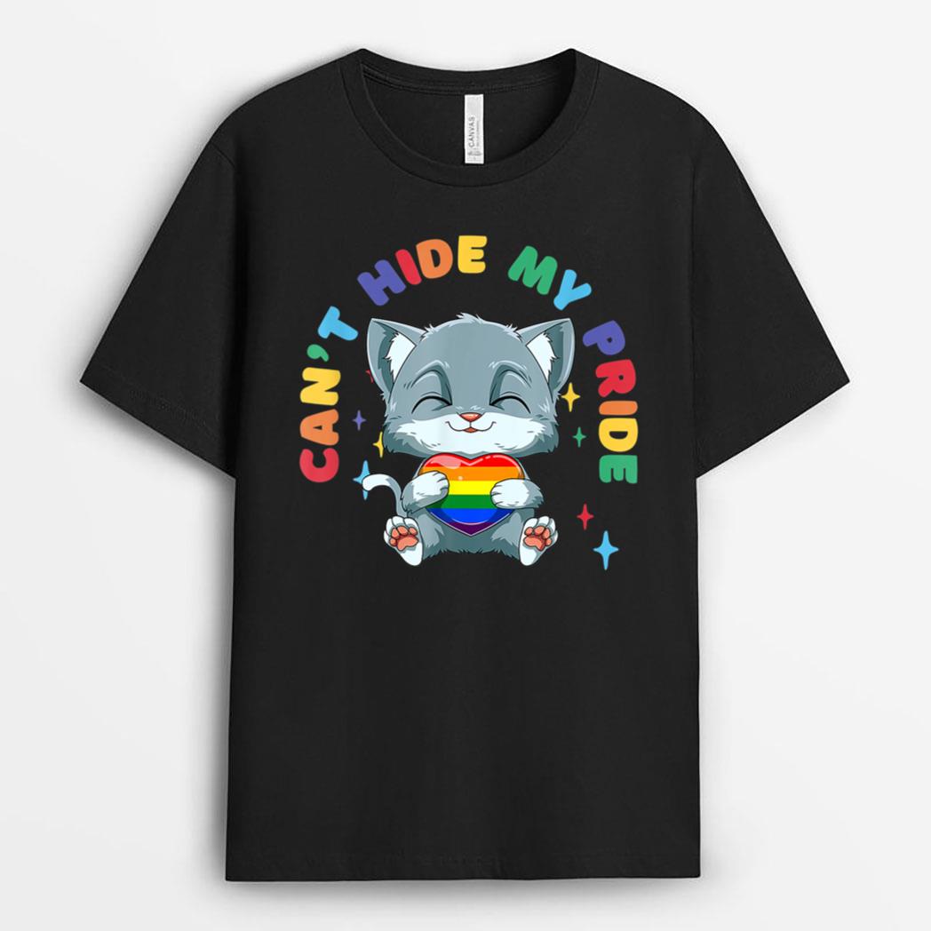 LGBQ Pride Rainbow Heart Cat Hugging LGBQ Heart T-Shirt